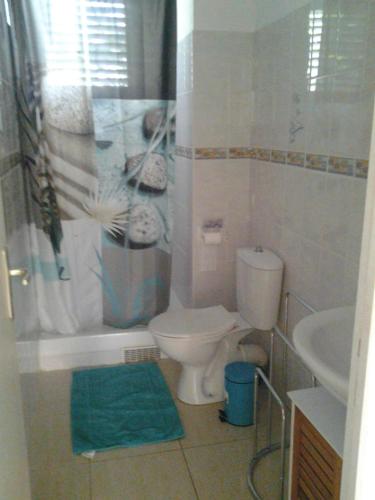 a bathroom with a toilet and a sink at Villa Le Balisier in Le Lamentin