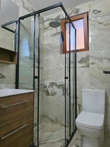 a bathroom with a toilet and a shower at Amd Ville Apartments in Dobra Voda