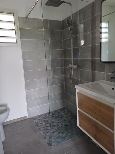 a bathroom with a shower and a tub and a sink at Blue Dream in Morne Blanc