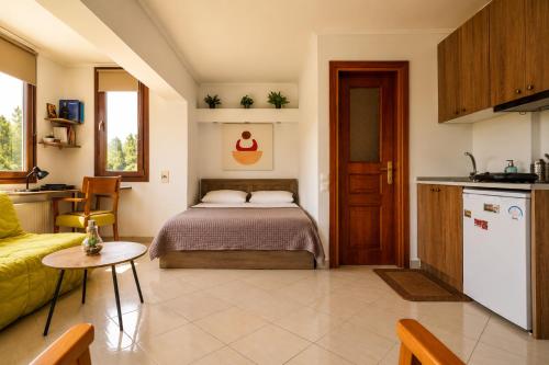 a living room with a bed and a kitchen at Studio Acropolis Serres Parking EV Next to Center in Serres