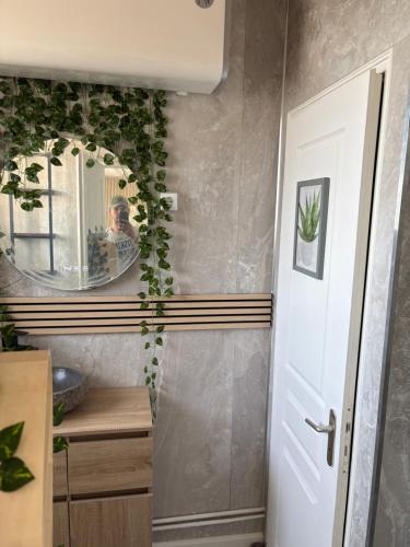 a bathroom with a mirror and a white door at Studio Aloe horizon in Dunkerque