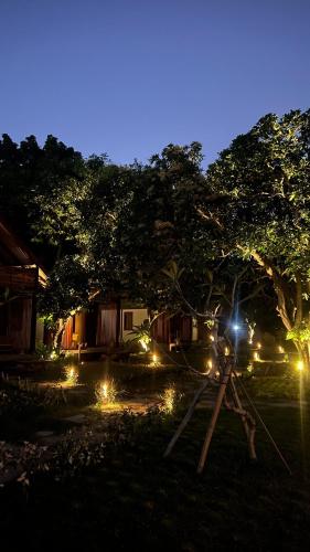a tree with lights in a yard at night at Mango Garden Villas in Sekongkang Bawa