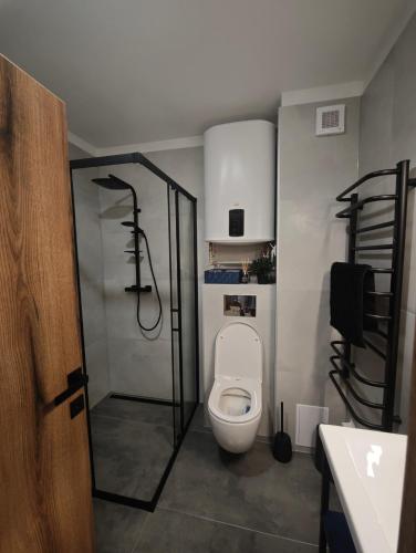a bathroom with a toilet and a shower at Apartmán Vyhne in Vyhne