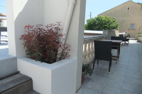 a plant in a white planter on a balcony at Hôtel U Pozzu in Sisco