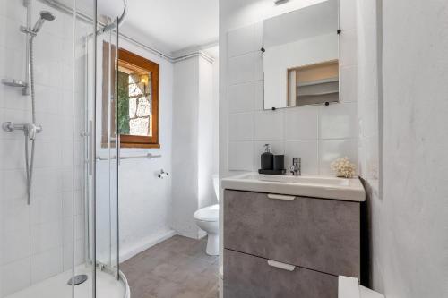 a bathroom with a shower and a sink and a toilet at Gite La Chambrette in Blieux