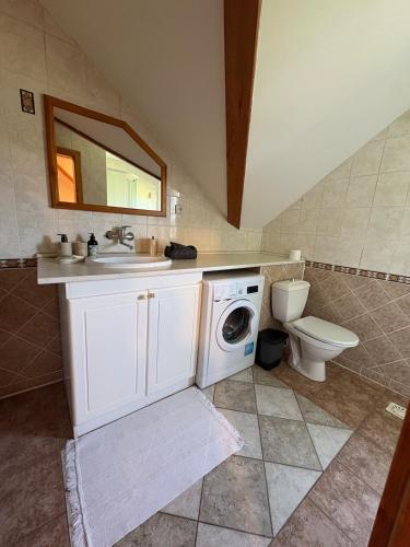 a bathroom with a sink and a washing machine at Šumavský dům in Drslavice