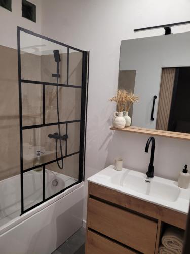 a bathroom with a shower and a sink at Le cocon du pas de Lauzens in Aouste-sur-Sye
