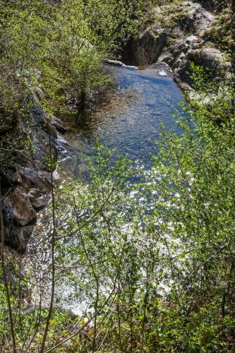 a stream of water with rocks and trees at Bed and Breakfast da Toldo in Russo