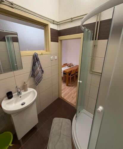 a bathroom with a sink and a shower at Centrum Brezno in Brezno