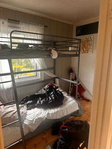a bedroom with two bunk beds and a window at Asleep in the Valley Villa in Oslo