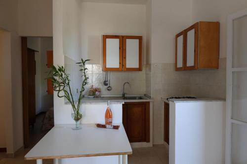 a kitchen with a table with a plant on it at Residence M3 in Peschici