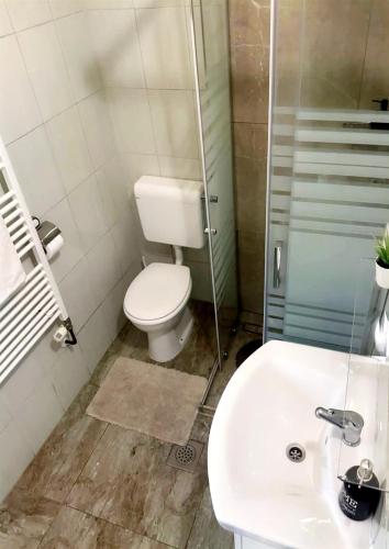 a bathroom with a toilet and a sink at Apartment Petra Zabok Horizon Suite in Zabok