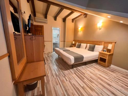 a bedroom with a bed and a television in it at Alda A Boira in Jaca