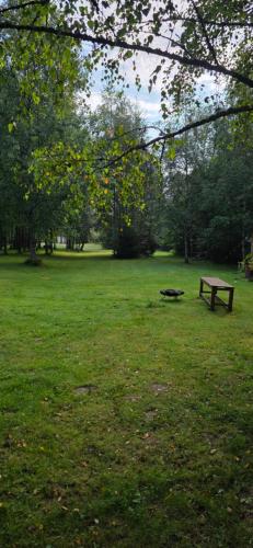 a park with a bench sitting in the grass at Glamping Dedovles Vlastný stan in Vyšné Hágy
