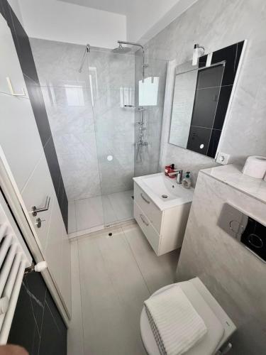 a bathroom with a shower and a toilet and a sink at DOCA Apartments 8 in Otopeni