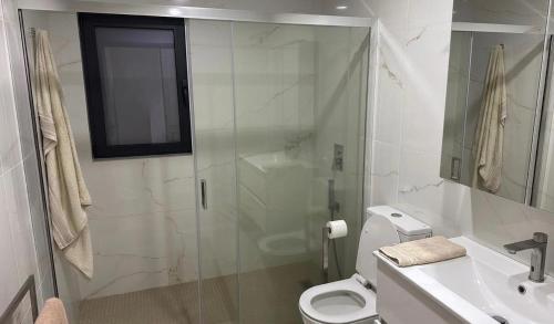 a bathroom with a shower and a toilet and a sink at Casa Machado in Cabeceiras de Basto