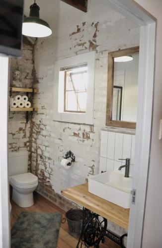a bathroom with a sink and a toilet and a mirror at SOUSIE'S RUSTIC STAY in Polokwane