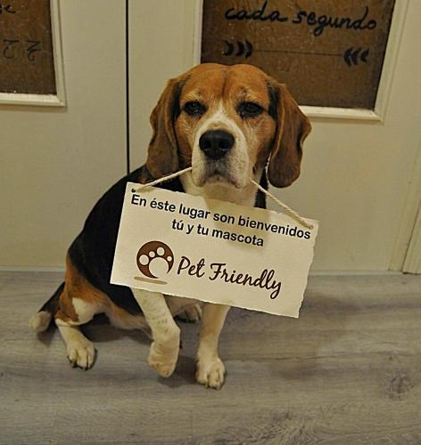 a dog is holding a sign in its mouth at Hospedaje Botin in Santander