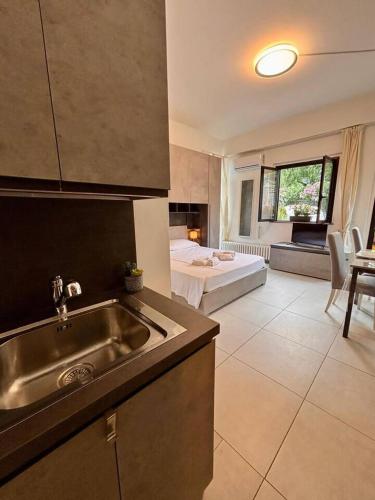 a kitchen with a sink and a living room at Due laghi – Studio Apartment with Pool in Porlezza