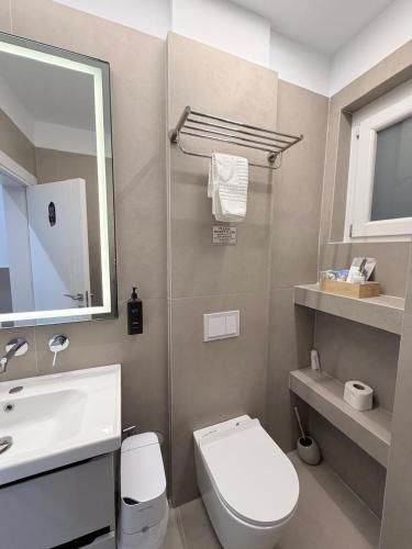 a bathroom with a white toilet and a sink at Osik apartments villa 01 in Golem