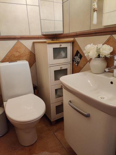 a bathroom with a toilet and a sink at Omenapolun Onni in Taipalsaari
