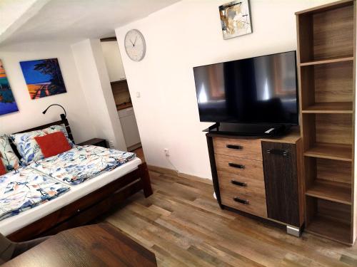 a bedroom with a bed and a television on a dresser at Apartmán Kácov in Kácov