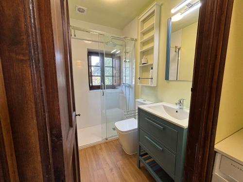 a bathroom with a shower and a sink and a toilet at Casita Madernia in Molledo