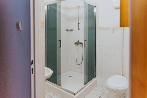a bathroom with a shower and a toilet at Herrmanns-hof in Kronowo