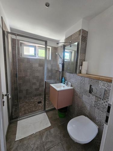 a bathroom with a shower and a toilet and a sink at Luca apartament 3 camere in Băile Herculane
