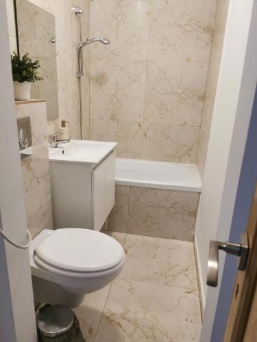a bathroom with a toilet and a sink and a tub at Apartament Clau Centru Vechi in Constanţa
