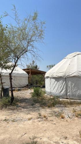 two white tents in a field with a tree at ЭКО БАЛЫК Седеп Юурты 