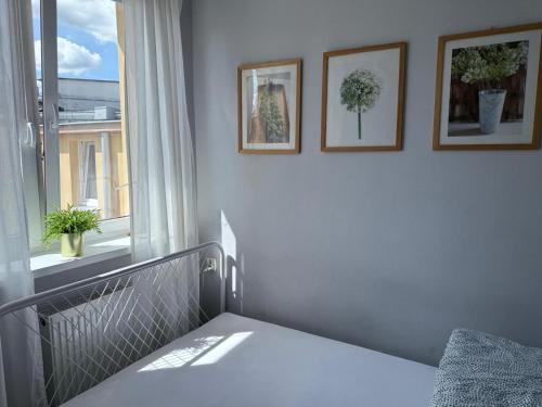 a bedroom with a bed and a window with pictures on the wall at Sunhaus in Gdynia