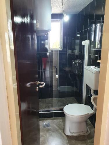 a bathroom with a toilet and a shower at Vikendica Emily in Kovin