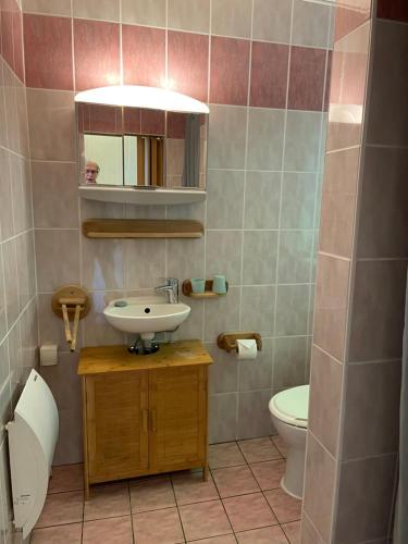 ein Badezimmer mit Waschbecken und Toilette in der Unterkunft Ferienpark Rosstrappe in Thale