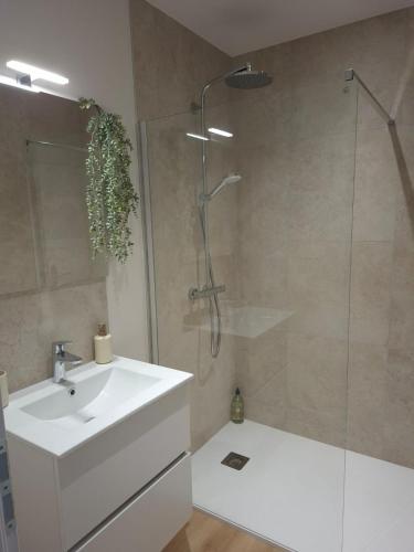 a bathroom with a white sink and a shower at F2 neuf grande terrasse chemin de Stevenson proche Le Puy in Coubon