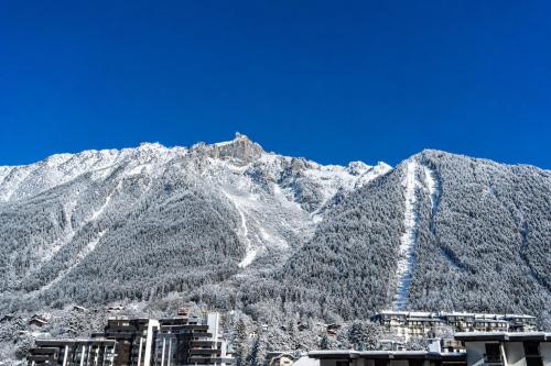a view of a mountain with snow on it at Hotel Le Morgane in Chamonix