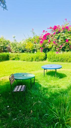 a table and a bench in a field with flowers at Farm near Marrakech , Location ferme Marrakech in Marrakesh
