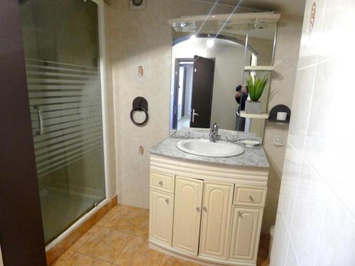 a bathroom with a sink and a shower at Le résinier in Mimizan