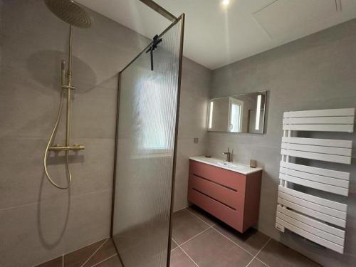 a bathroom with a shower and a sink at Quilleret in Haut-Mauco