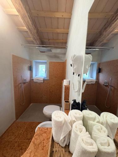 a bathroom with a shower and a toilet with towels at Vessa 3 in Selvapiana