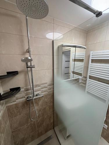 a bathroom with a shower and a mirror at Apartmán 1, Heydukovka in Písek