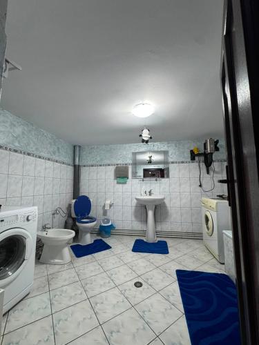 a bathroom with two toilets and a sink and a washing machine at Casa Lucescu in Vatra Dornei