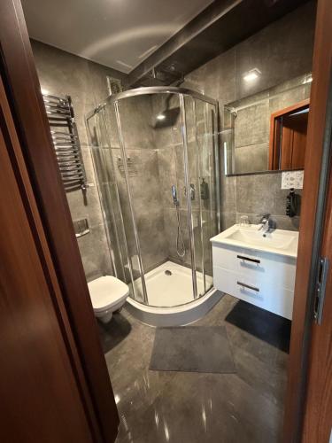 a bathroom with a shower and a toilet and a sink at Edel Wellness Sleep & Spa in Gniezno