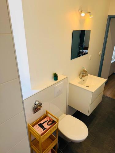 a bathroom with a white toilet and a sink at Appart cosy avec billard, à Bort in Bort-les-Orgues