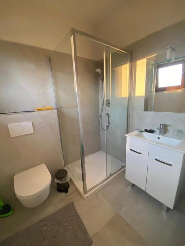 a bathroom with a shower and a toilet and a sink at Villa Kasimir in Videm pri Ptuju