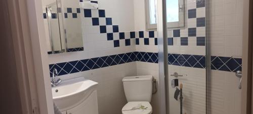 a bathroom with a toilet and a sink and a shower at Le chèvrefeuille in Sahune