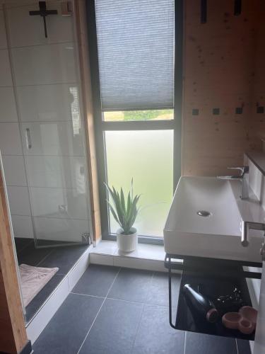 a bathroom with a sink and a plant next to a window at Ferienhaus an der Wasserkuppe in Poppenhausen