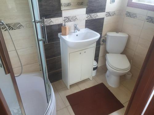 a bathroom with a toilet and a sink and a shower at Domek u Ani 4 in Orelec
