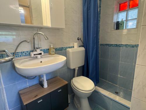 a bathroom with a white toilet and a sink at Zupan apartments in Ližnjan