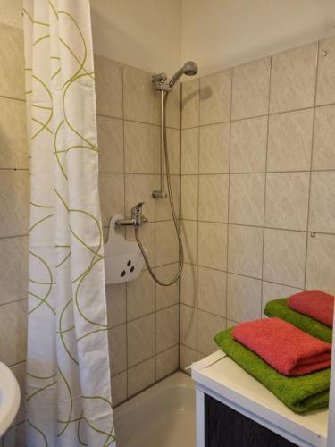 a bathroom with a shower with green and red towels at Apartments Vogtlandblick in Reichenbach im Vogtland